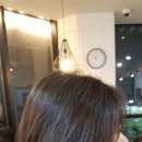 스펠라헤어메디컬 이미지