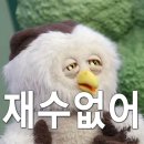 딩동댕 이미지