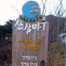 청학이 머무르는 산삼마루