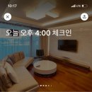 서귀포스타약국 이미지