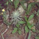 깊은산속 이미지