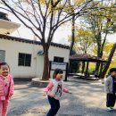 명륜자연유치원 이미지