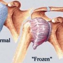 자유신경외과의원 이미지
