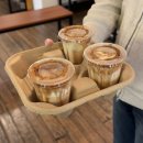 양이양이 | 강릉 카페 갤러리밥스! 그런데 양이 좀.. 솔직후기와 주차 팁