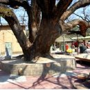 옥대3리 이미지