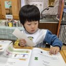 발표력 - 봄에 볼 수 있는 동식물 이미지
