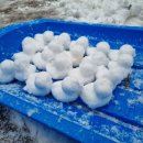 오리들2길 이미지