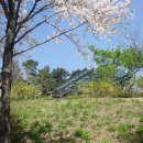 석촌공원길 이미지