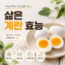 횡성군산림조합 | 삶은 계란 효능 아침마다 2개 먹어본 솔직한 변화와 추천 이유