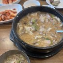 장미2차아파트(105동 옆) | [2026.02.08~02.15] 로터스 월드 기관교육 및 귀여운 것들 투성이