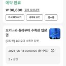 자연해양수족관 | [오키나와 여행] 기대보다 더 좋았던 츄라우미수족관 + 비세자키 스노쿨링 후기