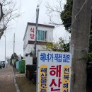 막둥이해녀복순이네