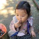 약수교회어린이집 이미지