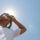 낮 최고기온 30도, 풀베기 작업하던 20대 사망…열사병 추정 이미지