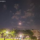 웅이네오돌뼈상도점