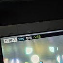 골드애