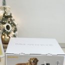 [일원3] 반려견 셀프 미용 | 로제코 강아지 진공미용기로 집에서 털날림없이 셀프미용 가능