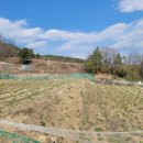 선산농장 이미지