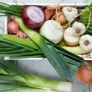 서서동물의료센터 이미지