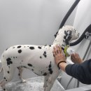 개포동월드 이미지