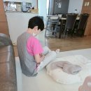 완주군 보건소 | (완주/전주) 선우케어 산후도우미 찐 후기!