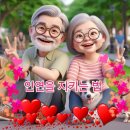 12월11일 목요일 출석부(등교합시다) 이미지