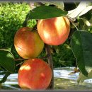 사암농장 이미지