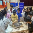 석송초등학교 이미지