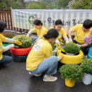 타이어마을 이미지