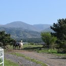 어승생승마장 이미지