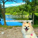 강원도캠핑장) 노섬브리아 캠핑장 힐탑사이트 후기