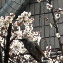 영일가든 이미지