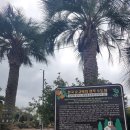 하영올레 3코스 | 하영올레 3코스