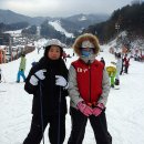 합기도 대구관 이미지