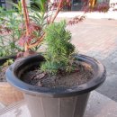 이포보 강변 이미지