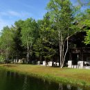 이코중식 이미지