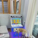 스테이백촌 이미지