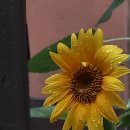 깜헤어샵 이미지