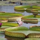 새마을금고 뒤 주차장 이미지