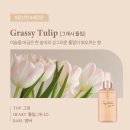 스테이오로지 이미지