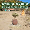 삼화동주민센터 | 삼화동 전시 - 옹구점 산책 후기