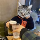 60계치킨성포월피점 이미지