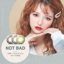 이치안경(ECHY),렌즈타운 방이역점 네이버블로그
