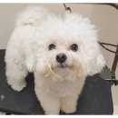 더바름동물병원 이미지