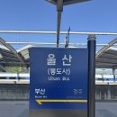 영남알프스 간월재~신불산 등산 후 신불산 백패킹 후기
