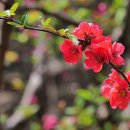 영해당