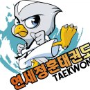 연세승마클럽 이미지