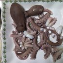 서해낙지 Daum카페