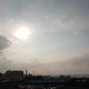 365구름약국 이미지