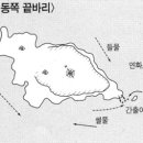 외초 이미지